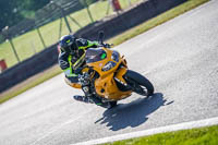 Lower Group Yellow Bikes